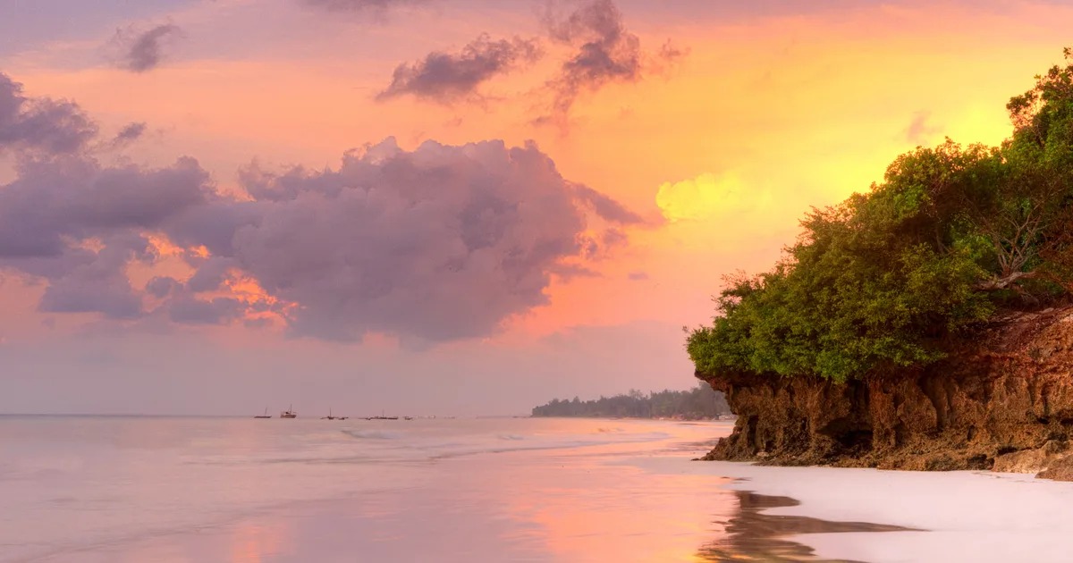Romantic Bush & Beach